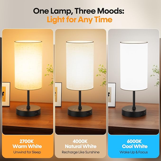 NIORSUN Light Therapy Lamp,10000 Lux Sun Lamp with Remote,3 Color Temperatures & Stepless Dimming,Happy Sunlight Lamp with USB C & A Ports,UV-Free Full Spectrum Light for Home,Office
