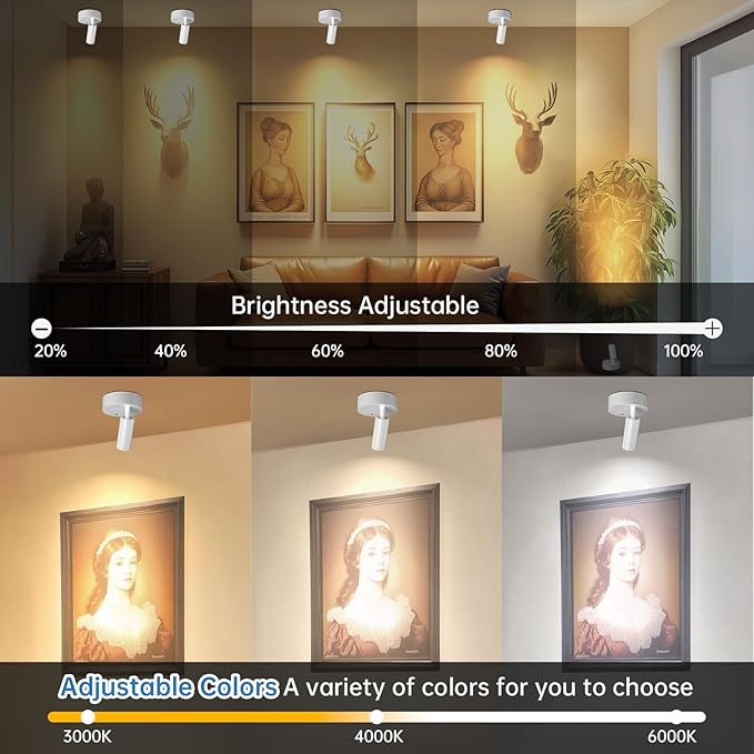 Wireless Led Spotlight Indoor, Plant Spotlight Indoor with Remote Dimmable, 350° Rotate,Uplighting Battery Powered Ceiling Light for Artwork Painting Plant Picture Lights, 2 Pack