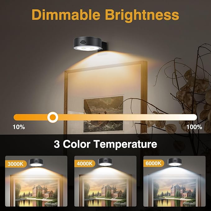 LED Picture Light Wireless Battery Operated Poster Light,Remote Control Painting Lights,Timer and Dimmable Art Light for Wall,Magnetic Accent Display Wall Light for Artworking,Wall Decor Puck Lights