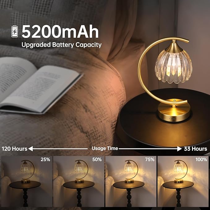 Set of 2 Tulip Table Lamp, 5200mAh Cordless Touch Control Table Lamp with 3 Color Temps & Stepless Dimming, Rechargeable Battery Table Lamp for Living Room, Bedroom, Shelf (Transparent Tulip)