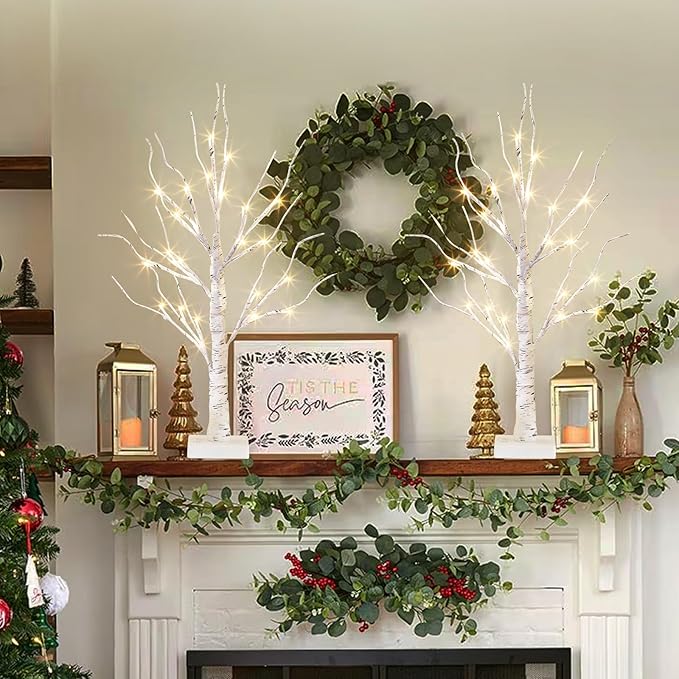 EAMBRITE Lighted Birch Tree Easter Decorations for Home, 2Pack 24 LED Battery Operated/USB Tabletop Mini Small Artificial White Trees with Lights for Christmas Indoor Table Mantel Spring Decor (2FT)