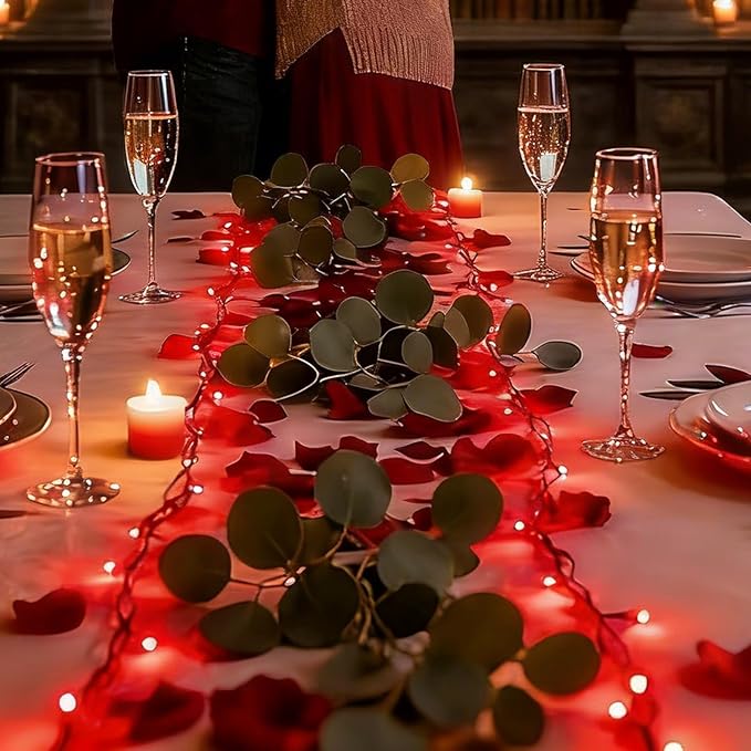LAMPHOME 50 LED Red Valentine Lights,Christmas Lights 16 FT Mini String Light with 9 Modes & 6 Hour Timer, Battery Operated for Indoor Outdoor Patio Garden Party Tree Valentine's Day Decoration