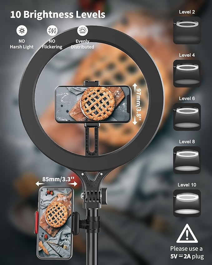 Ring Light with Stand and Phone Holder, USB 10" Ring Light for Desk, Overhead Camera Mount with Ringlight, Desk Lamp with Clamp for Photography/Makeup/Live StreamVideo/YouTube