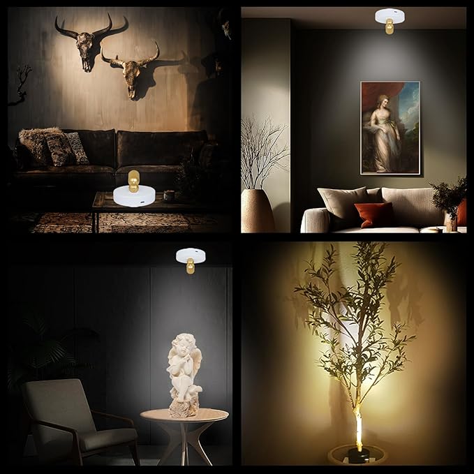 LED Spotlight Indoor,Rechargeable Battery Uplighting Indoor with Timer,3CCT Dimmable Accent Spot Lights for Plants Tree Wall Art Display Painting Artwork Portrait Dartboard Gallery-White