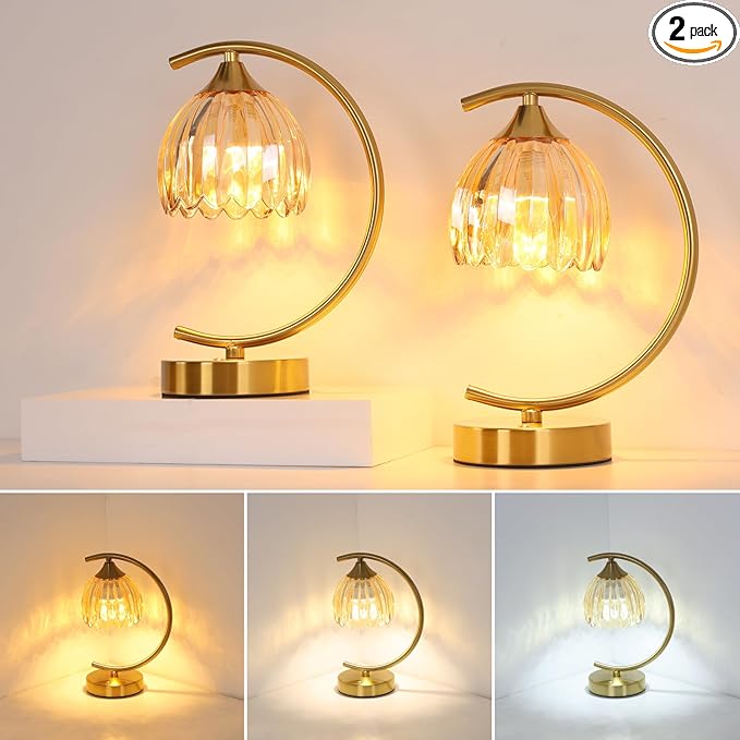 Set of 2 Tulip Table Lamp, 5200mAh Cordless Touch Control Table Lamp with 3 Color Temps & Stepless Dimming, Rechargeable Battery Table Lamp for Living Room, Bedroom, Shelf (Amber Tulip)
