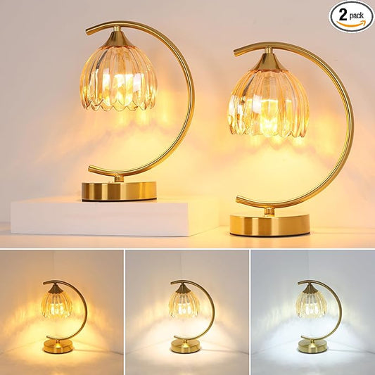 Set of 2 Tulip Table Lamp, 5200mAh Cordless Touch Control Table Lamp with 3 Color Temps & Stepless Dimming, Rechargeable Battery Table Lamp for Living Room, Bedroom, Shelf (Amber Tulip)