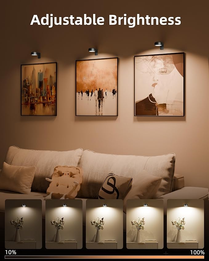 EZVALO Picture Lights for Wall, 2000mAh Rechargeable Battery Magnetic Poster Lights with 3 Color Temps & 12 RGB, Remote Dimmable Timer Painting Light, Wall Decor Light for Art Display, Frame (6 Pack)