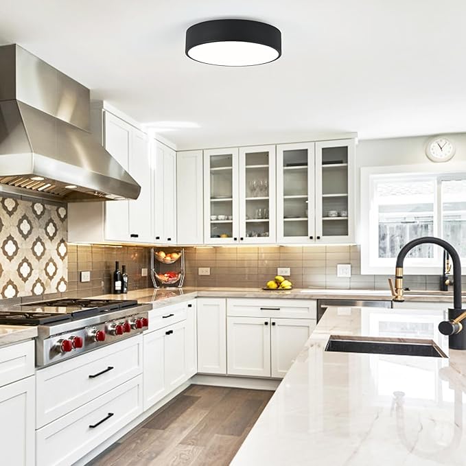 Modern Flush Mount 2-Light Round Black Ceiling Light Fixture, Minimalistic Acrylic Shade Lighting for Bedroom, Laundry Room, Foyer, Hallway (11.8")