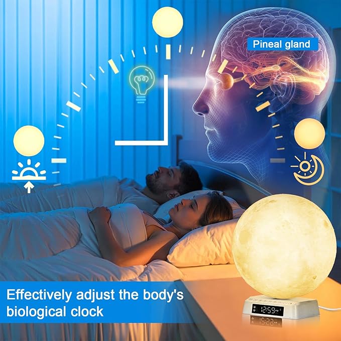 Sunrise Alarm Clock Wake up Light Alarm Clock lamp Clock 3 Color Adjustable Mood Light Built-in White Noise nightstand Lamp for Livingroom Bedroom Office Reading Working Moon Lamp Not support APP
