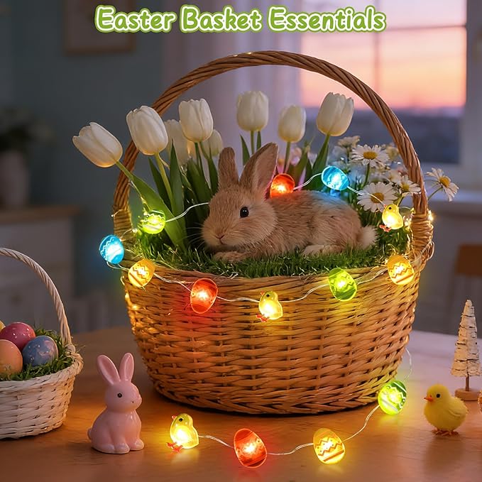 Coquimbo Easter Egg String Lights, Battery Operated LED Easter Decorations for Home, 10ft 30LED Indoor Outdoor Spring Holiday Lights for Party, Fireplace, Window, Kids Room