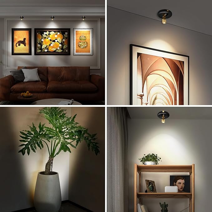 Indoor Plant Spotlight Battery Operated,Picture Light with Remote,Wall Painting Uplight,Wireless Dimmable Timer,Spot Light for Plants Trees Pictures Display Painting Art Frame Gallery Portrait