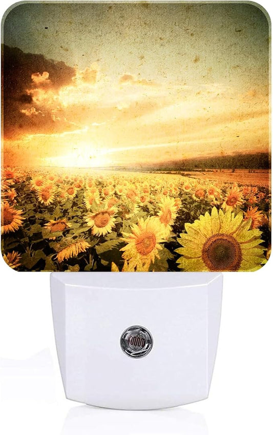 Sunflower Field at Sunset Night Light,Plug Into Wall Decor for Stairway,Hallway,Kitchen,Dusk to Dawn Sensor Nightlights for Boys/Girls/Women/Men Room Gifts