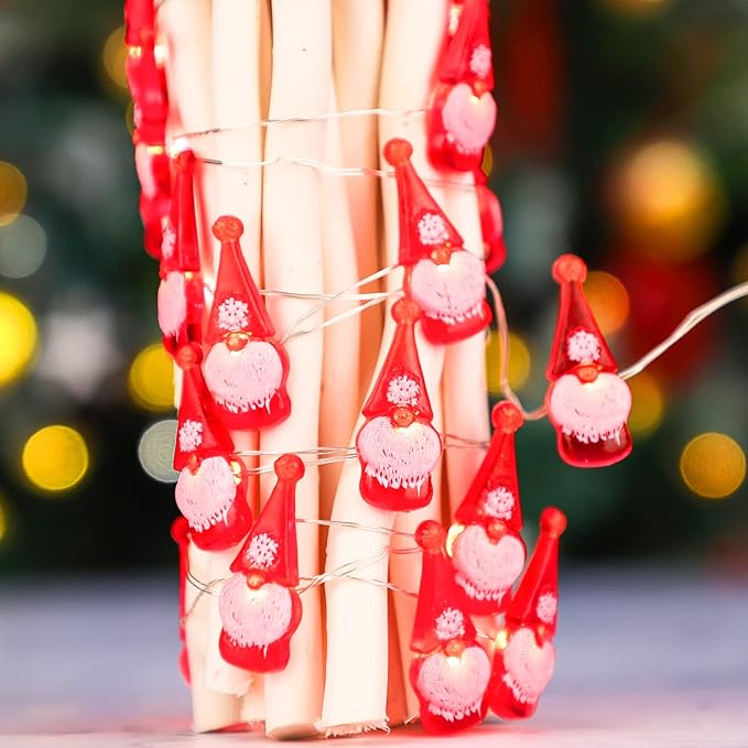 Christmas String Lights 10ft 30 LEDs Red Gnome Battery Powered & USB Plug in with Remote Christmas Garlands Ornaments Twinkle Light for Home House Party Decoration