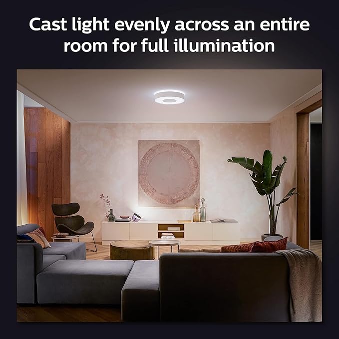 Hue Infuse Ceiling lamp LED White