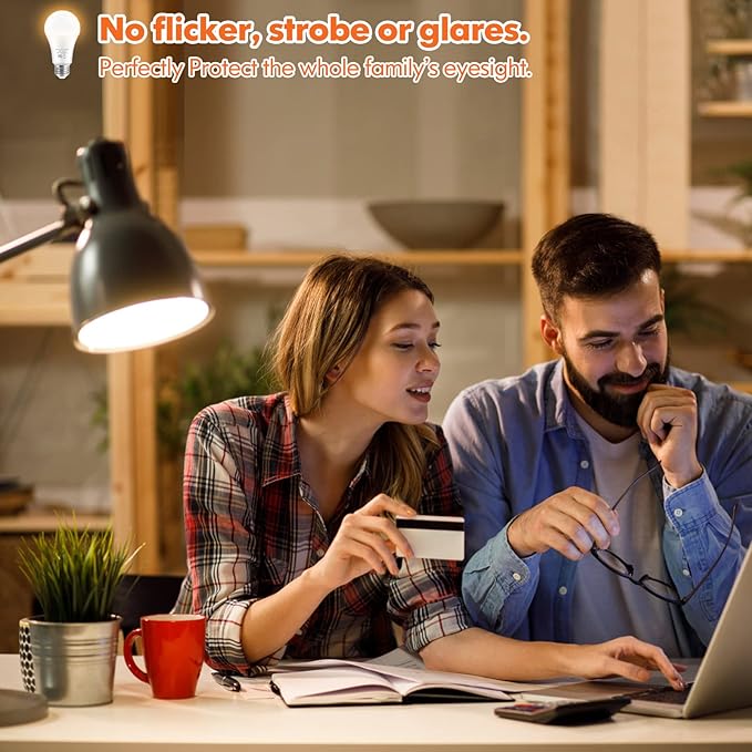 LED Light Bulbs, 100 Watt Equivalent A19 LED Bulbs, 13W 2700K Warm White 1500 Lumens Non-Dimmable Bright E26 Edison Medium Screw Bulbs for Home Bedroom Kitchen Living Room Office Lamp, 4-Pack
