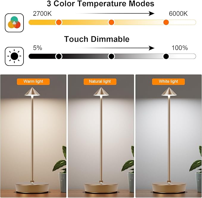 Cordless Battery Powered Table Lamp, Rechargeable LED Dimmable Brightness Metal 6000mAh Touch Desk Lamp Portable Modern Design for Restaurant Patio Indoor & Outdoor (Titanium 2 Pack)