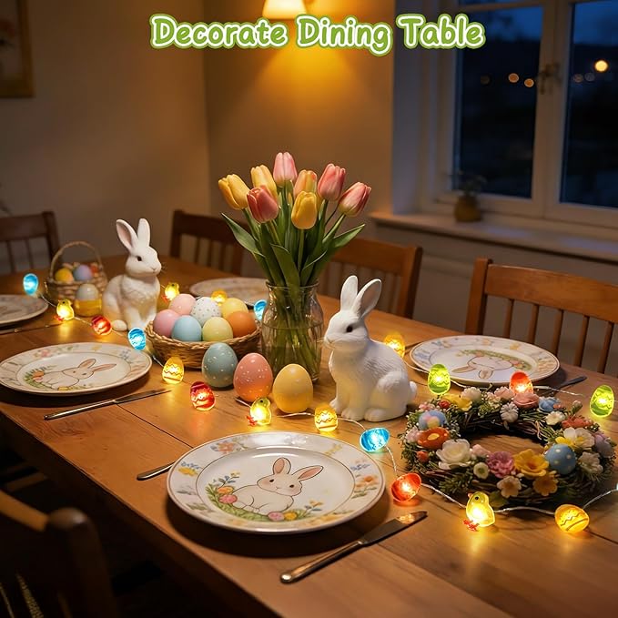 Coquimbo Easter Egg String Lights, Battery Operated LED Easter Decorations for Home, 10ft 30LED Indoor Outdoor Spring Holiday Lights for Party, Fireplace, Window, Kids Room