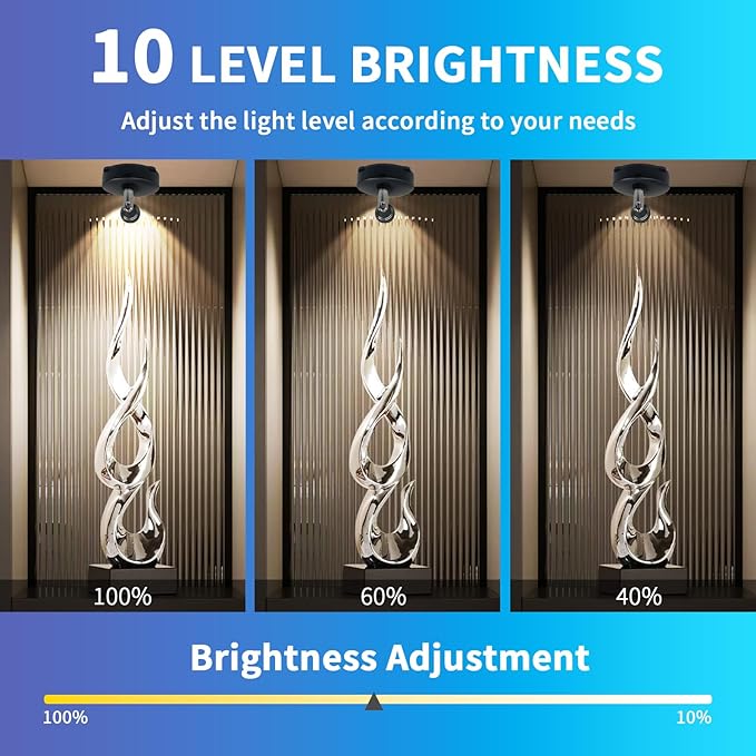 LEASTYLE Wireless Spotlights Rechargeable Sopt Lights Indoor with Remote,16 Color Changing Battery Operated Spot Light with Timer Dimmable Accent Light,2 Pack,Black