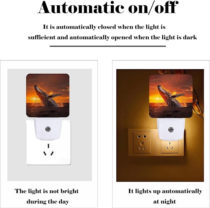 Sunset Humpback Whale Night Light,Plug Into Wall for Boys Girls Bedroom Decorative Square Night Light Lamp 0.5w Sleep Friendly