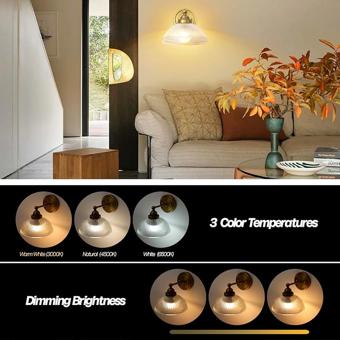 HEQIQEH Rechargeable Battery Operated Industrial Wall Sconce with Remote Control, Clear Striped Glass Shade Wall Lamp, Modern Dimmable Indoor Wall Mount Light for Bedroom Living Room Restaurant