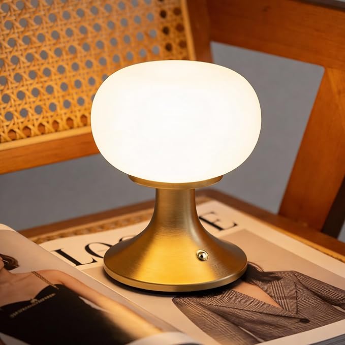 Cordless Table Lamp, LED Mushroom Lamp with Glass Shade & Stepless Dimming, Touch Control Nightstand Lamp for Bedroom,Living Room,Dining Table