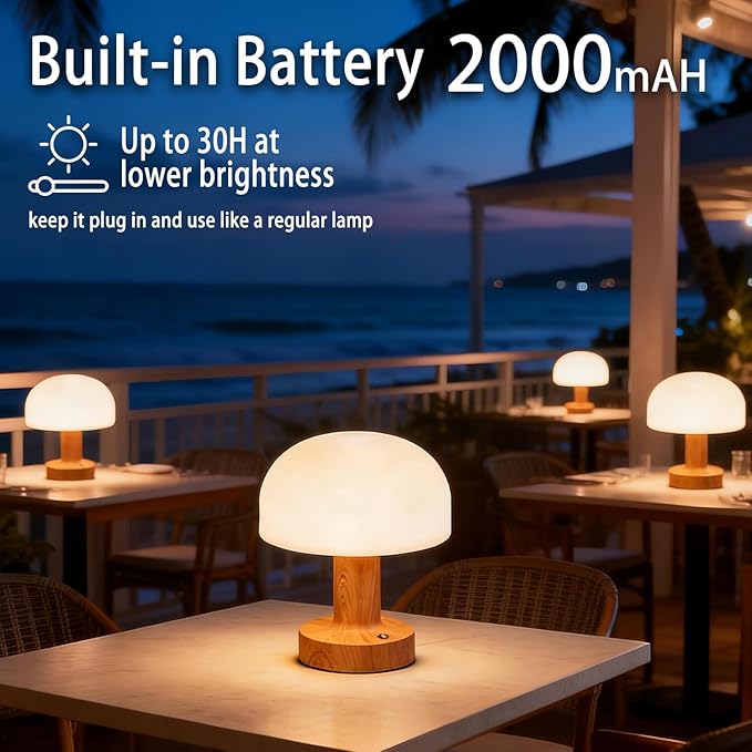 Cordless LED Table Lamp, 2000mAh Battery Operated Desk Lamp with 3 Color Modes & Stepless Dimming, Metal Night Light for Home Decor, Restaurant, Bedroom - USB-C Charging