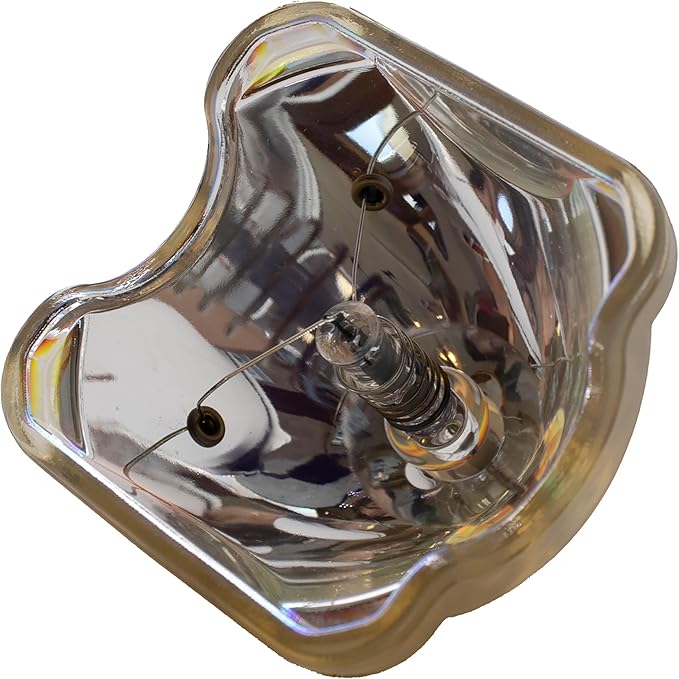 Advanced Lamps™ Bulb (Lamp Only) for The Sanyo PLV-Z4 Projector