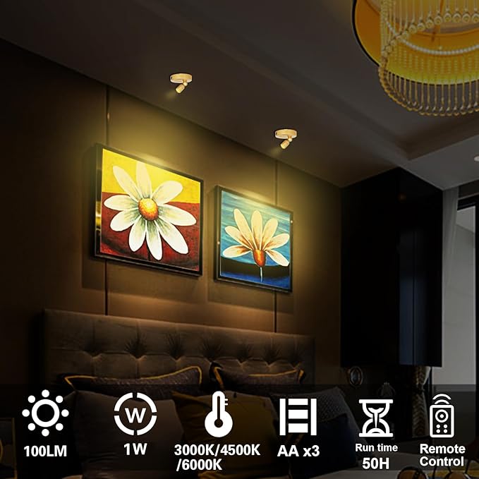 Indoor Spotlight, Battery Operated Picture Light with Remote, 3 Lighting Modes LED Display Lights, Plant Tree Spotlight with Timer, Up Lights for Art Display Dartboard Artwork Frames-Gold