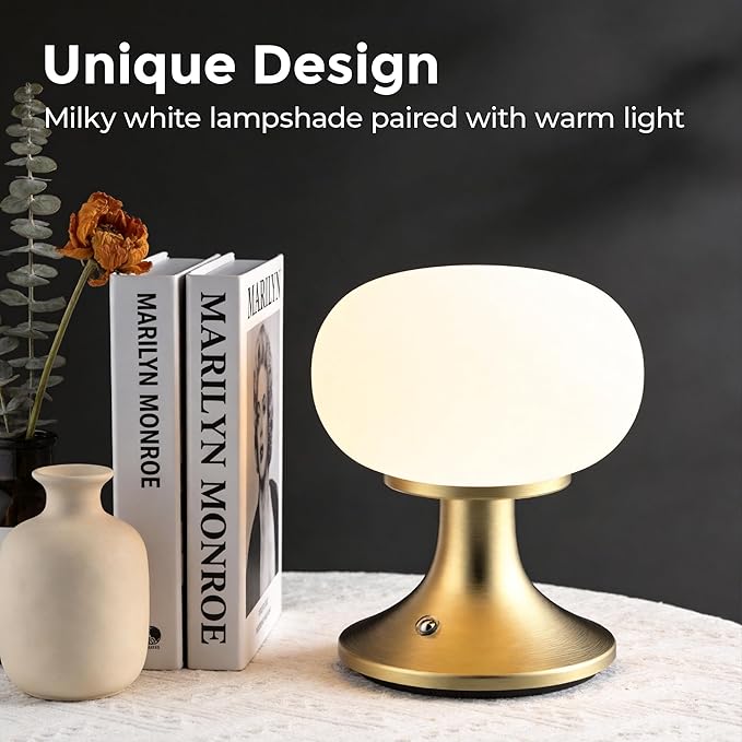 Cordless Table Lamp, LED Mushroom Lamp with Glass Shade & Stepless Dimming, Touch Control Nightstand Lamp for Bedroom,Living Room,Dining Table