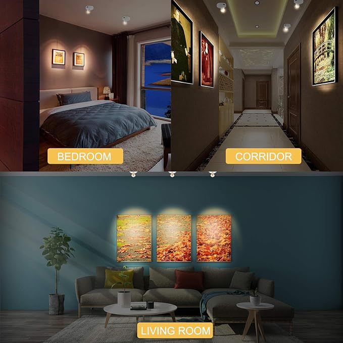 LUXSWAY Wireless Led Spotlight,Battery Operated Accent Lighting with 2 Remote Control,Wireless Art Light for Paintings,Rotatable Light Head,Stick on Lights for Picture Painting Closet,Timer Auto Off