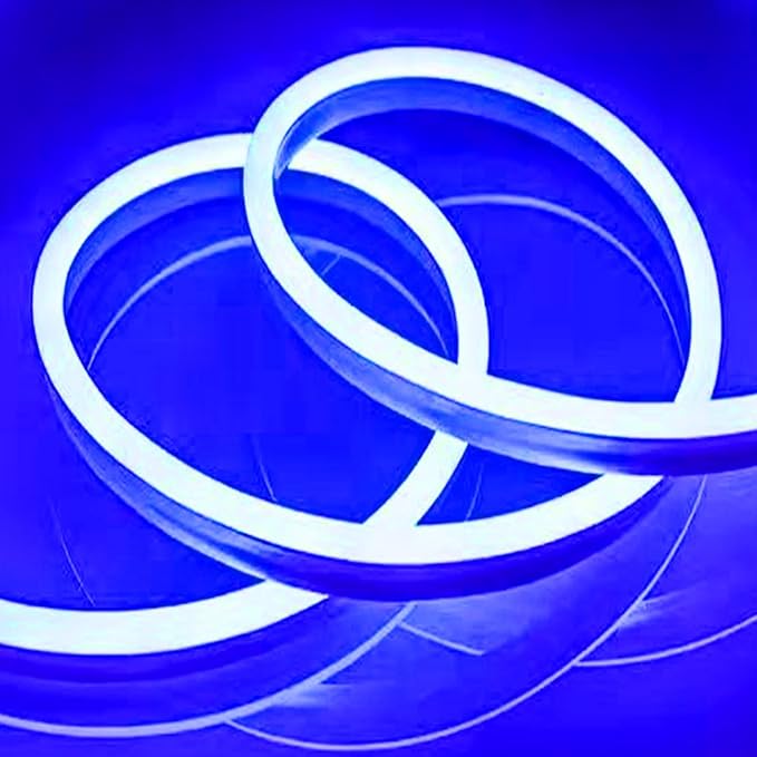 LED Neon Strip Lights, 6.6ft AC 110V-130V Super Bright Rope Light Sign String 4000LM Waterproof IP68 for Outdoor Indoor Commercial Lighting Decor(Blue)