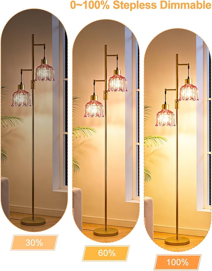 2-Light Gold Floor Lamp for Living Room, 65IN Tall Standing Lamps Dimmable with Rose Red Glass Lampshade, 3000K Warmwhite Mid Century Modern Floor Lamp for Bedroom/Office/Corner/Sofa Beside