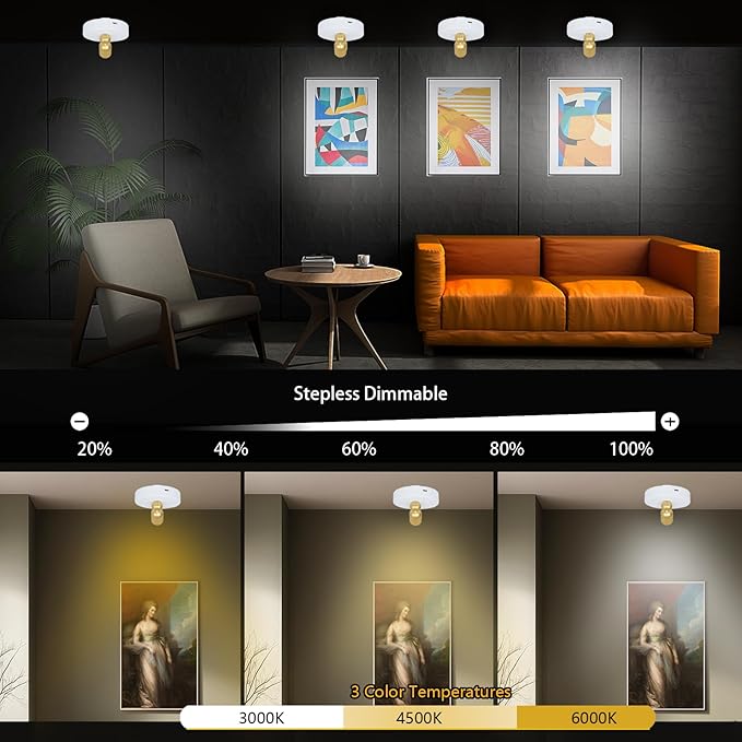 LED Spotlight Indoor,Rechargeable Battery Uplighting Indoor with Timer,3CCT Dimmable Accent Spot Lights for Plants Tree Wall Art Display Painting Artwork Portrait Dartboard Gallery-White