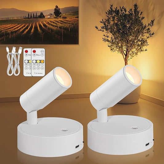 Spotlight Indoor, Wireless Battery Operated with Remote,Uplight Indoor Down Light for Picture on Wall, Plant Spotlight Dimmable Timer, Mini Ceiling Lights Painting for Trees Plant,White 2 Pack