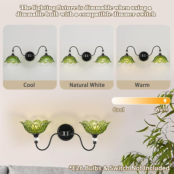 Black Bathroom Vanity Light, 2-Light Vanity Light with Floral Green Glass Shades,Vintage Farmhouse Wall Mount Lighting for Bathroom, Dressing Table
