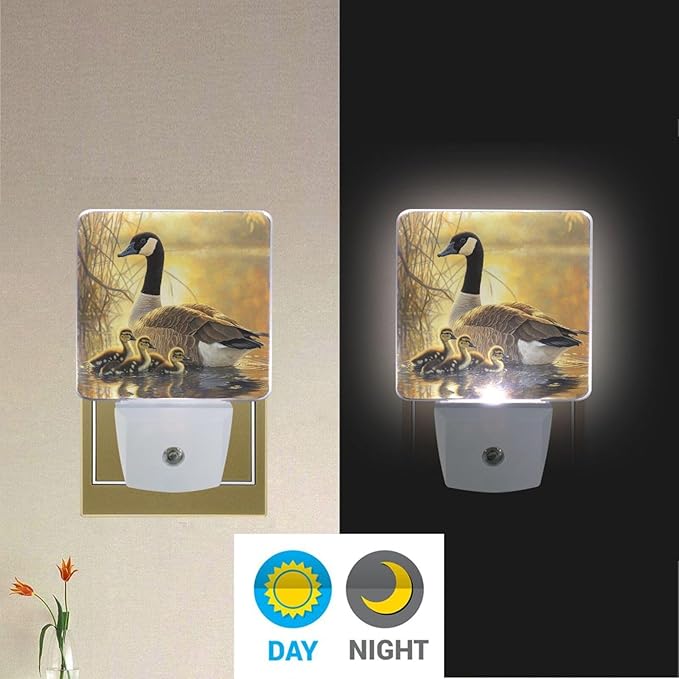 Canada Geese and Goslings Night Light 2 Pack Dusk to Dawn Sensor Led Lamp for Women Men Night Lights Plug into Wall Decor for Bedroom Kitchen Bathroom Corridor, 0.5W
