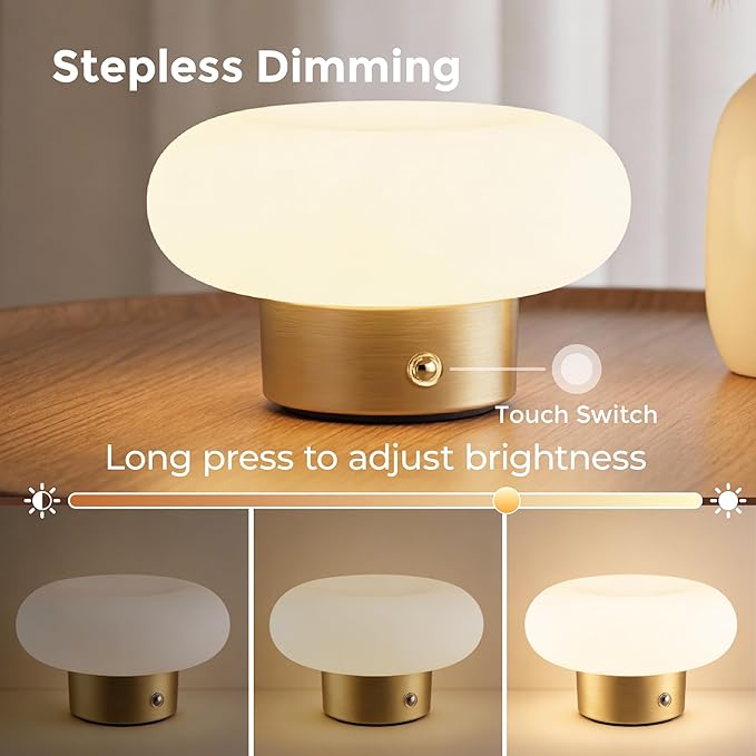 Cordless Table Lamp, Gold Rechargeable Battery Operated Lamp, Stepless Dimming Touch Lamp with Glass Lampshade for Bedroom, Living Room, Dining Table, Nightstand, Shelf Decor