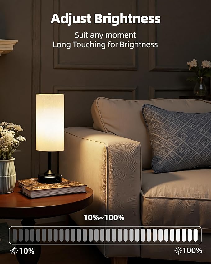 Battery Operated Lamp, Dimmable, Ambient Light, 2700K, Timer, Touch Control, Portable, LED, Wireless, Rechargeable, Cordless, Desk Lamp, Kitchen Lamp, Fabric Shade, for Bedroom, Living Room, Dorm