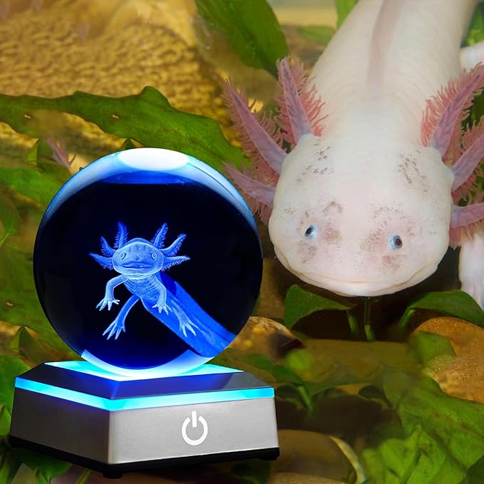 3D Axolotl Crystal Ball Night Light With LED Colorful Touch Base - 3.15 Inch Glass Ball Lamp for Birthday, Christmas - Cool Toy Gifts for Boys Girls Kids - Axolotl Figurines Home Decor