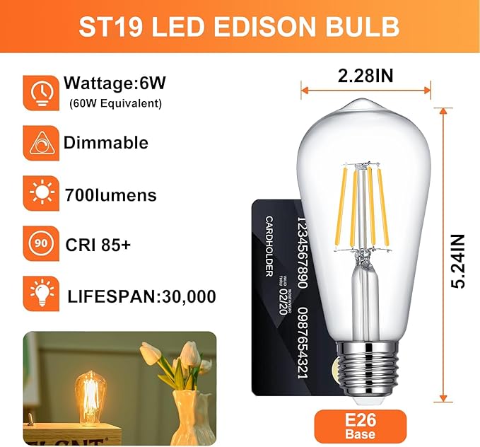 ST19 LED Bulb 6W Equivalent 60W 2700k Warm White 120V, 12 Pack Ivyemons High Output ST19 LED Bulb Dimmable, No Flicker ST 19 E26 Base Led Bulb,ST 19 LED Edison Light Bulbs for Indoor/Outdoor Lighting.