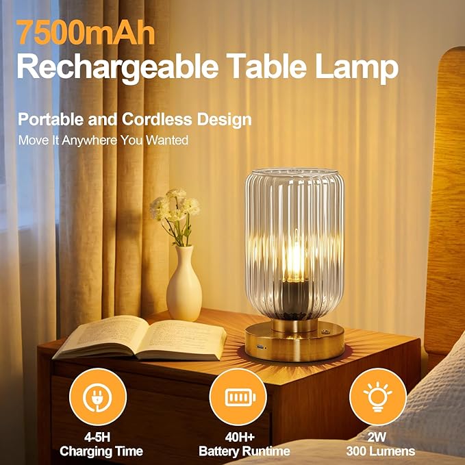 Touch Table Lamp for Nightstand - Small Bedside Lamps for Night Stands Bedroom Living Room, Dimmable Rechargeable Desk Lamp Battery Operated with Clear Glass Shade, Bulb Included