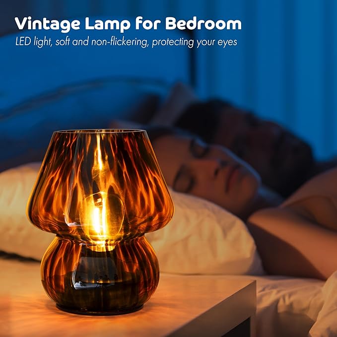 Battery Operated Mushroom Lamp - Vintage Small Table Lamp with Timer, Cordless Bedside Nightstand Lamp, Glass Battery Powered Lamp for Bedroom Kitchen Living Room Shelf Decor Aesthetic Amber