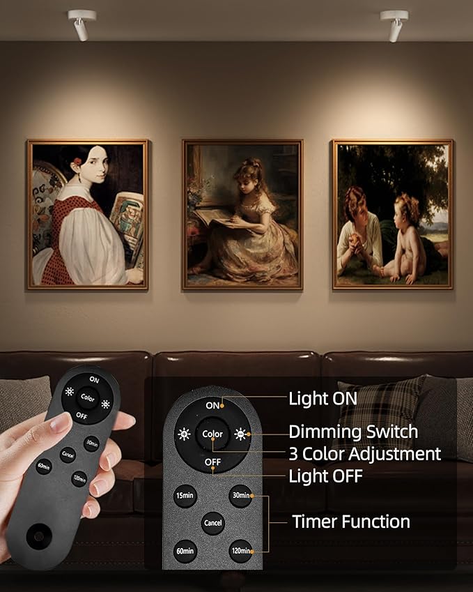 EZVALO Spot Lights Indoor,5500mAh Rechargeable Picture Lights with Remote,Wireless Mini Art Accent Spot Lights with Timer＆Dimmable, 3CCT, Uplights Indoor for Plants,Display,Artwork(2Pack-White)