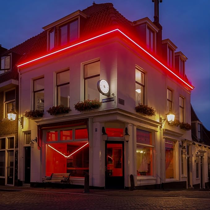GZBtech Flexible LED Neon Rope Lights 16.4FT,AC 110-120V Waterproof Strip Light, 120LEDs/M Cuttable Connectable Neon Lighting for Indoor Outdoor Home Decor/Commercial Building Use-Red 5M, ETL Listed