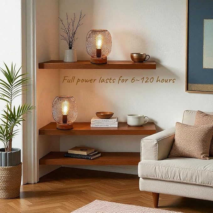 JHY DESIGN Set of 2 Dimmable Touch Bedside Table Lamps 7.5''H Metal Cage Rechargeable Battery Powered Accent Lamps with LED Bulb for Dining Table Parties Patio Indoors Outdoors(Round, Wooden Base)