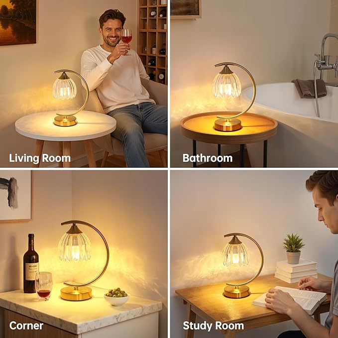 Tulip Table Lamp, 5200mAh Cordless Touch Control Table Lamp with 3 Color Temps & Stepless Dimming, Rechargeable Battery Table Lamp for Living Room, Bedroom, Office, Shelf (Transparent Tulip)