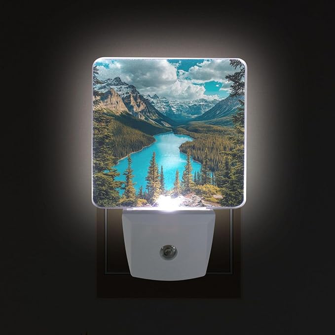 Forest and Lake Night Light 2 Pack Dusk to Dawn Sensor Led Lamp for Women Men Night Lights Plug into Wall Decor for Bedroom Kitchen Bathroom Corridor, 0.5W