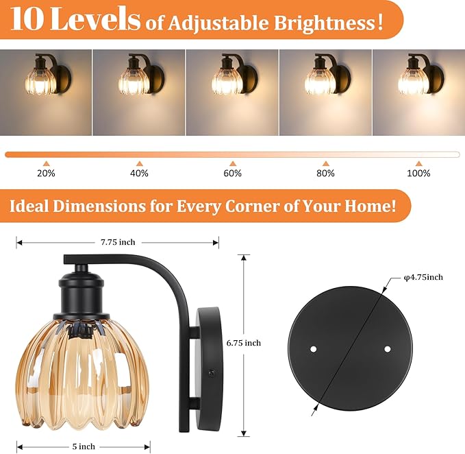 Rechargeable Battery Operated Wall Sconce with Amber Glass Lampshade, Wireless Wall Scone Decor with Remote Control, 15 Colors Black Wall Light for Bedside Hallway Bedroom Doorway