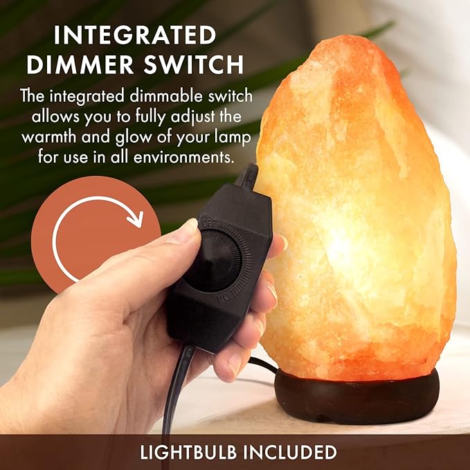The Body Source Himalayan Salt Lamp | 8-10 in (7-11 lb) | Natural Salt Rock Lamp with Dimmer Switch & Wooden Base | Night Light & Bulb Replacement (Pack of 2)