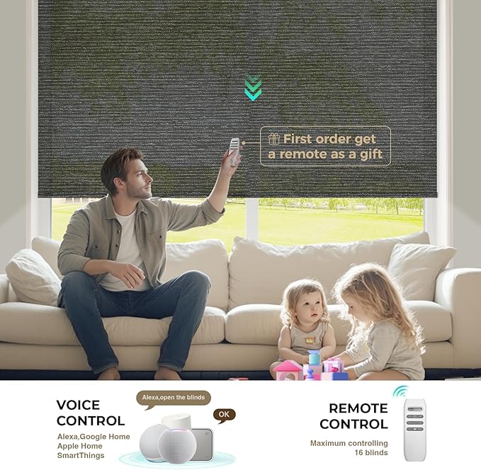 HeyBlinds Motorized Roller Shades, Smart Blinds for Windows, Remote Automatic Window Shades, Electric Shades, Light Filtering, Compatible with Alexa Google Apple Home (Light Chaser-Anthracite LF)